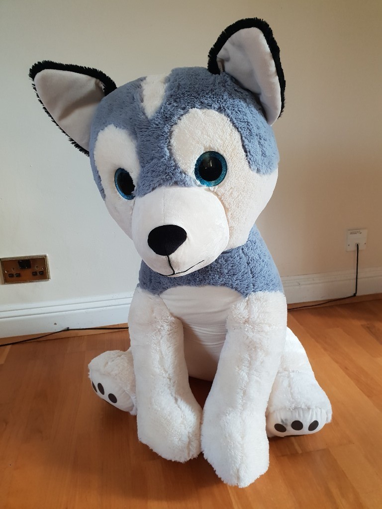 giant husky teddy